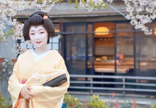 【顔画像】とし真菜の本名や年齢は?京都の元No.1芸妓で人気の秘密も調査!
